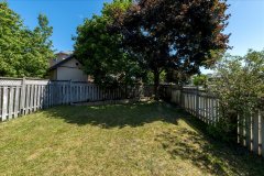 30-Back-Yard