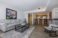 12-Living-Room