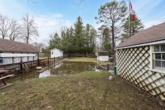 19-Back-Yard