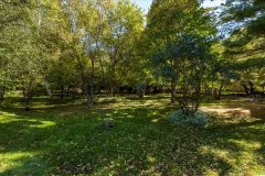 11-burbank-Back-Yard-2