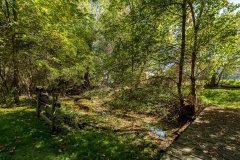 11-burbank-Back-Yard-3