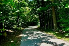 37-Path-to-Waterfront