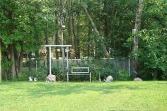 37-Back-Yard-Summer
