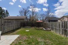 29-Back-Yard