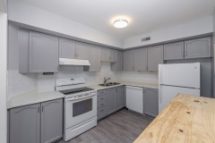 302-492-laclie-Kitchen-2