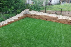 32-Back-Yard-Summer