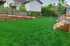 33-Back-Yard-Summer