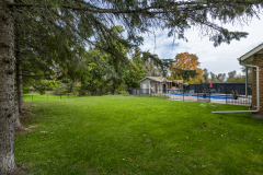 40-Back-Yard