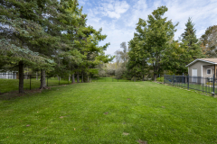 41-Back-Yard