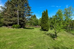 39-Back-Yard