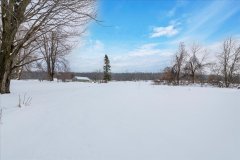4533-monck-31-Back-Yard