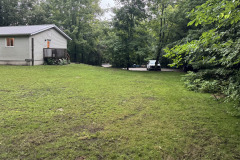 14-Back-Yard