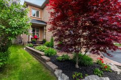 29-Front-Yard