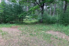 Pic5