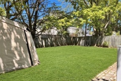 16-Back-Yard