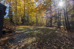 32-Back-Yard