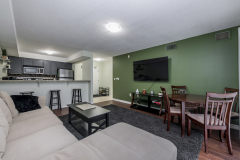 14-Living-Room