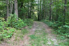 Green-Place11