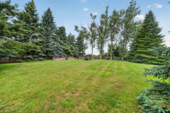 50-DSC00348
