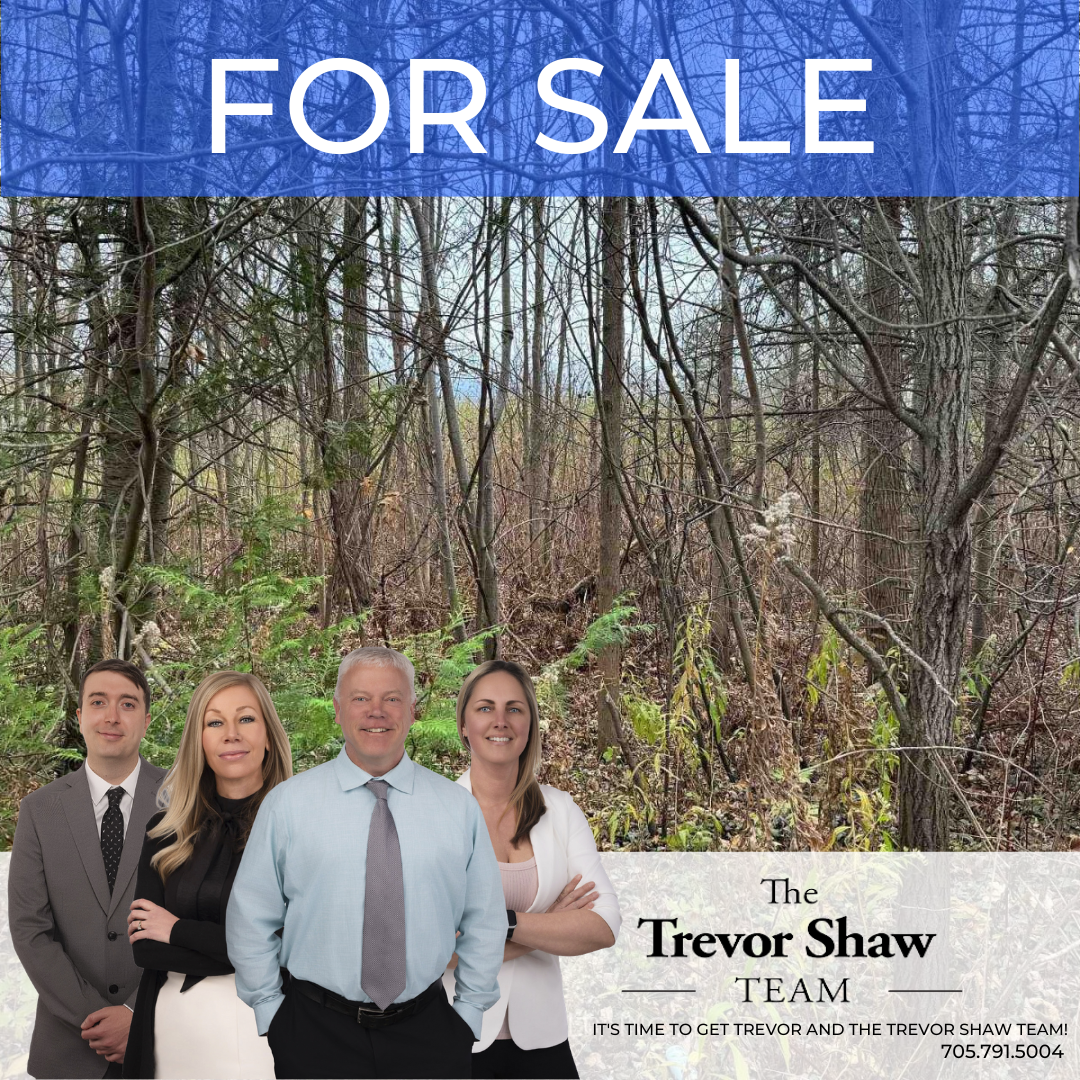 0 taylor woods SPRING
