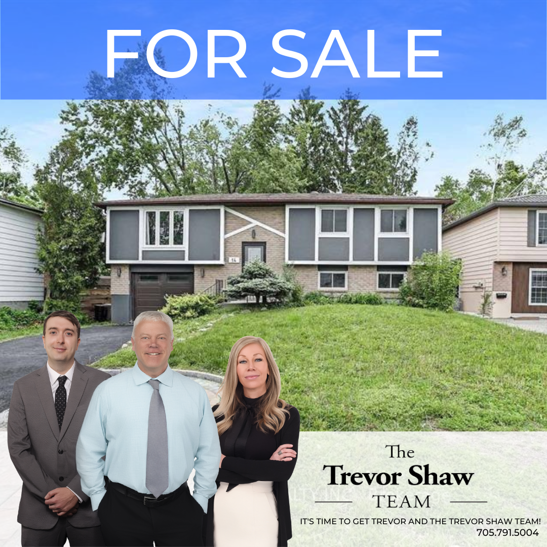Chippawa Newest